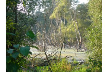 Словаччина Chata Vojka nad Dunajom, Екстер'єр